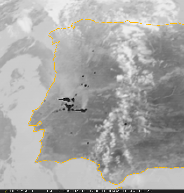Fig. 4: Meteosat-8, canale 04 (IR 3.9), 3 agosto 2003, 12:00 UTC. Fonte: EUMETSAT.