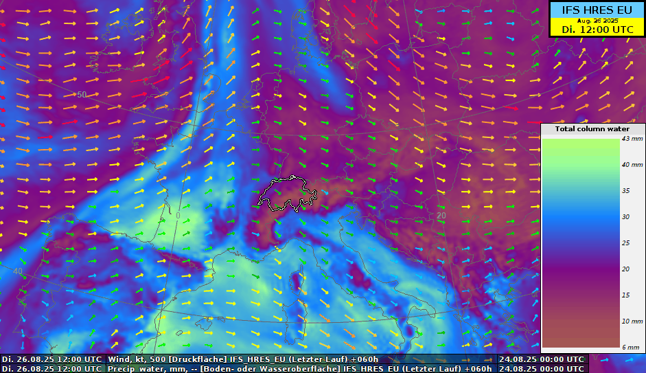 Animazione del modello IFS, periodo compreso tra martedì a mezzogiorno e la notte su venerdì. Precipitazioni (aree colorate) e frecce del vento a 500 hPa.