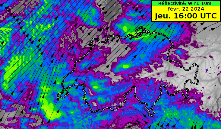 Previsione dell'intensità delle precipitazioni (aree colorate, più intense in arancione) e della direzione del vento (linee con frecce), tra giovedì 16:00 UTC e venerdì 2:00 UTC.