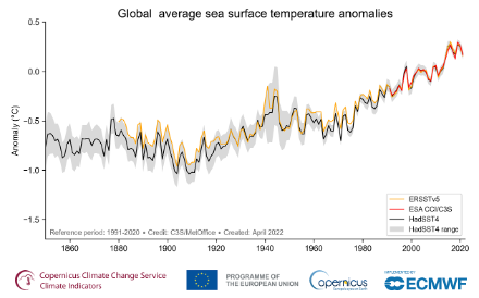 Fig. 6. Anomalia della temperatura annua media globale della superficie del mare (°C), rispetto al periodo di riferimento 1991-2020.