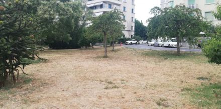 Fig. 3: anche a nord delle Alpi la siccità inizia a farsi sentire, come mostra questa immagine di un giardino ripreso da M. Schwander nella città di Ginevra.