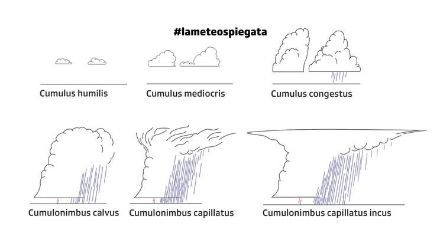 Le fasi di sviluppo del cumulonembo e le sue tipologie (cloudatlas.wmo.int/RSI)