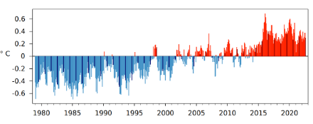 Fig. 2: Temperatura mensile globale da gennaio 1979 ad agosto 2022, mostrata come deviazione dalla norma 1991-2020. Le barre nere indicano i mesi di agosto. Fonte: Copernicus.