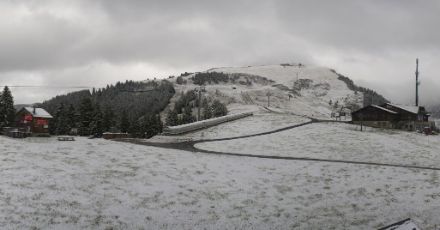 Fig. 2: La neve ha fatto la sua apparizione a media quota, ad esempio nella zona di "Chaux" a Gryon (VD, 1755 m).