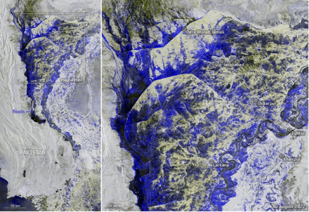 Immagini riprese dal satellite Copernicus Sentinel-1 il 30 agosto. A sinistra Copernicus Sentinel-1 un'ampia veduta dell'area colpita, mentre a destra è presentato un ingrandimento delle regioni comprese tra Dera Murad Jamali (Balochistan) e Larkana (Sindh). Il fiume Indo è straripato, creando un lungo lago largo decine di chilometri. I colori dal blu al nero mostrano dove la terra è sommersa.