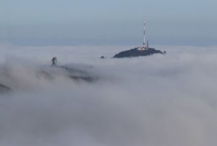 Fig.1: Uetliberg(ZH) di poco al di sopra della nebbia. Foto: D. Gerstgrasser.