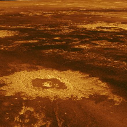 Fig. 4: la “Crater Farm”. Fonte: NASA/JPL
https://solarsystem.nasa.gov/resources/477/the-crater-farm/?category=planets_venus
