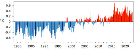 Figura 3: Anomalia mensile della temperatura media mondiale da gennaio 1979 a settembre 2022 rispetto alla norma 1991-2020. Le barre nere indicano i mesi di settembre. Fonte: Copernicus.