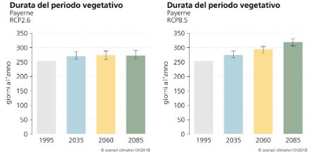Figura 2: Media trentennale del periodo vegetativo nella stazione di Payerne per diversi periodi. I valori sono mostrati per uno scenario con protezione del clima (RCP2.6, a sinistra) e per uno scenario senza protezione del clima (RCP8.5, a destra).