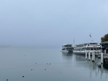 Nebbia fitta e leggermente sollevata sopra il lago questa mattina a Lucerna. Come spesso accade con la bise, la nebbia è risultata piuttosto tenace, dissolvendosi solo nel tardo pomeriggio. Foto: E. Müller