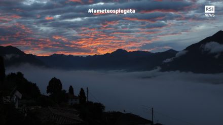 Fig. 4: la nebbia che copre e avvolge il Piano di Magadino nel 2016 Foto: L. Gianoni. 