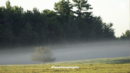 Fig.3: la tipica nebbia da irraggiamento mattutina Foto: L. Shaull.