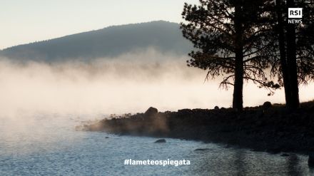 Fig. 5: nebbia da umidificazione fotografata in California, sul lago Almanor. Foto: F. Schulenburg.