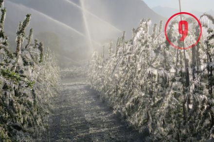 Gli alberi da frutta vengono protetti da un’intensa gelata in Vallese nell’aprile 2017. Immagine: MeteoSvizzera, Didier Ulrich. 
