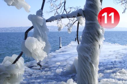 Vento e temperature sotto zero hanno trasformato questo albero a Versoix in una scultura di ghiaccio nel gennaio 2005. Immagine: MeteoSvizzera, Anick Haldimann. 