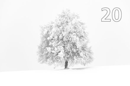 Magico paesaggio invernale sull’Hirzel il 15 gennaio 2021. Immagine: MeteoSvizzera, Urs Graf