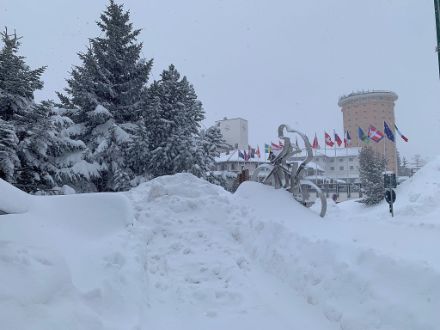 Fig. 2: nevicata del 24 gennaio a Sestriere 2035 m, Piemonte  