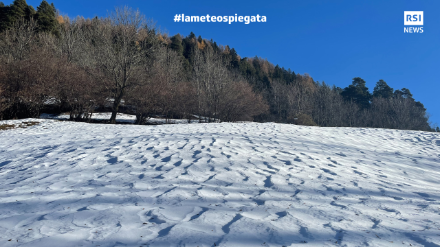 Figura 1: neve ventata "cartonata" con crosta a Calpiogna il 12.12.2022