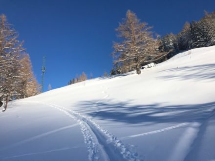 Un pendio con un manto di neve polverosa, sullo sfondo il cielo azzurro.