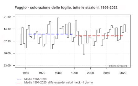 Media svizzera della data di colorazione delle foglie del faggio. Sono mostrati i dati medi di tutte le stazioni fenologiche svizzere e i valori medi dei periodi di riferimento 1961-1990 e 1991-2020.