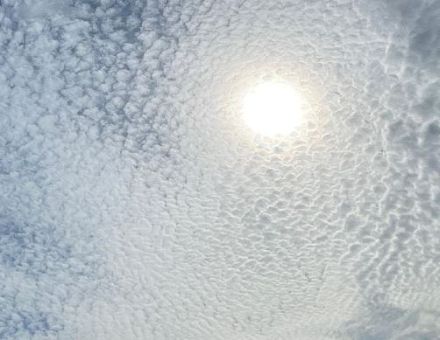 Figura 3: Altocumulus stratiformis translucidus perlucidus, le nubi "a pecorelle".