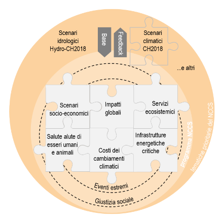 Nel programma NCCS-Impacts vengono attuati diversi progetti coordinati nel campo dell'impatto climatico. Tutti i progetti includono i temi trasversali della "giustizia sociale" e degli "eventi estremi". Gli scenari climatici CH2018 e la base idrologica Hydro-CH2018 servono come base comune di dati.