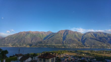 Fig. 5: Immagine scattata nella primavera del 2016 da Locarno-Monti verso il Gambarogno. Si notano i boschi di faggio già verdi che sovrastano quelli di castagno ancora dormienti. 