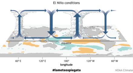 Fig. 1 Circolazione atmosferica durante le fasi di El Niño. Fonte: NOAA Climate.