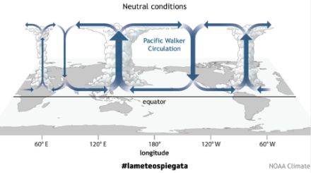 Fig. 2. La condizione normale, detta anche Neutrale, che corrisponde alla circolazione di Walker. Fonte: NOAA Climate.
