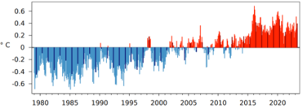 Fig. 1: Andamento della temperatura media globale del mese di maggio dal 1979 al 2023 secondo le rianalisi ERA5, rappresentata come anomalia rispetto alla norma 1991-2020. Le barre scure rappresentano i valori medi di maggio. Fonte: Copernicus Climate Change Service / ECMWF.
