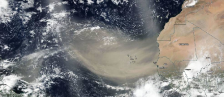 Fig. 3. Polvere sahariana verso l'Atlantico, il 18 giugno 2020, satellite Suomi NPP della NASA-NOAA. L'immagine mostra la polvere sahariana dalla costa occidentale dell'Africa si estende quasi fino alle Piccole Antille nell'Oceano Atlantico settentrionale occidentale. Fonte: NASA Worldview