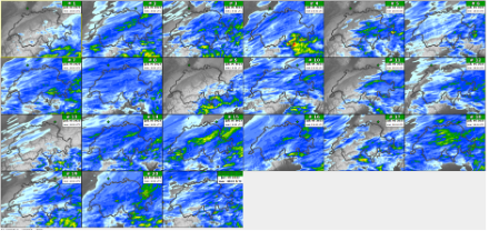 Precipitazioni previste sulle 24 ore dai 21 "membri" per mercoledì 5 luglio alle 18 UTC da COSMO-2E, modello 00 UTC, corsa del 2 luglio alle 00 UTC. Questa distribuzione è tipica delle situazioni temporalesche, con grandi differenze sia in termini di distribuzione geografica sia di quantità di precipitazioni. NinJo@MeteoSvizzera