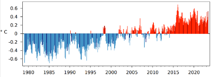 Fig. 3: Temperatura mensile globale da gennaio 1979 a giugno 2022, mostrata come deviazione dalla media 1991-2020. Le barre nere indicano i mesi di giugno. 