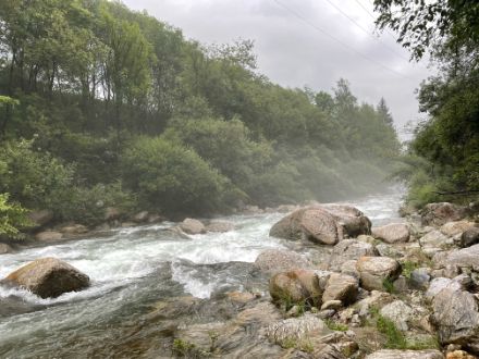 Fig. 2. Condensazione dell'umidità presente nell'aria e formazione di nebbiolina presso il letto del fiume. Foto: L. Nisi. 