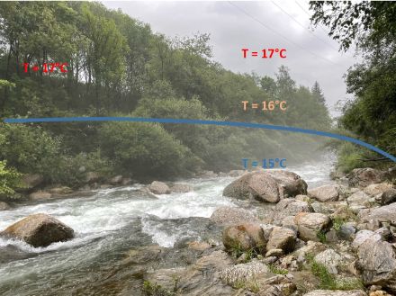 Fig.3. Distribuzione delle temperature dell'aria presso il letto del fiume Ticino a Faido, 24.07.2023.