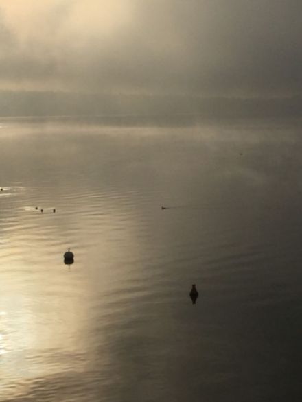 Fig. 1. Nebbia da evaporazione sul Lago Lemano, in prossimità della riva di Bellevue (GE), 2 gennaio 2017. Foto: L. Peyraud.