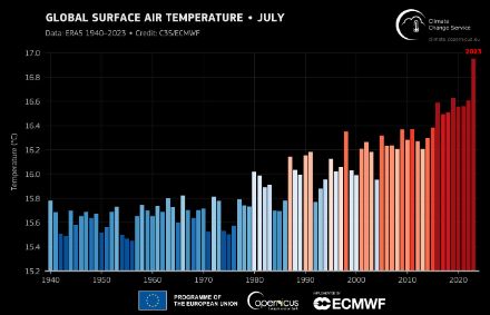 Fig. 3: Temperatura media globale del mese di luglio dal 1940 al 2023. Le tonalità sul blu indicano valori medi di luglio più freschi della media, sul rosso più caldi di essa. Fonte: Fonte: Copernicus Climate Change service / ECMWF.