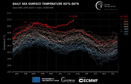 Fig. 4: Andamento della temperatura media globale superficiale del mare mediato fra 60°S e 60° N di latitudine, rappresentato come serie temporale per ogni anno dal 1 gennaio 1979 al 31 luglio 2023.
