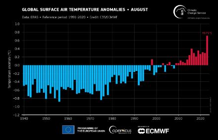 Fig. 2. Temperatura globale di agosto dal 1940 al 2023, mostrata come deviazione dalla media 1991-2020. Dati: ERA5. Fonte: C3S/ECMWF.
