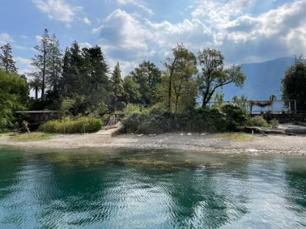 Figura 3: Danni alle isole di Brissago in seguito al violento temporale della sera del 25 agosto. Foto: M. Resegati.