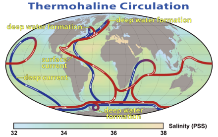 Figura 1: Rappresentazione semplificata della circolazione termoalina globale con la salinità dell'acqua superficiale dell'oceano come sfondo. Nell'Atlantico, l'acqua calda proveniente dall'equatore viaggia verso nord lungo la costa americana prima che la corrente giri verso l'Europa. Nell'Oceano Artico europeo e nel Mare del Labrador, a sud-ovest della Groenlandia, l'acqua sprofonda in profondità e torna verso sud. (Fonte: NASA)
