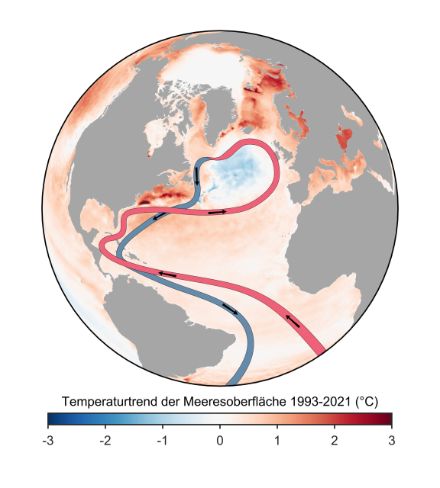 Figura 2: andamento osservato della temperatura superficiale del mare dal 1993 al 2021 (dati Copernicus), con illustrazione approssimativa delle correnti oceaniche. Si nota una tendenza al raffreddamento nell'Atlantico settentrionale.