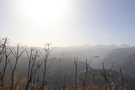 Caligine
