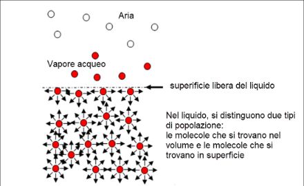 Diagramma che spiega il principio alla base della la tensione superficiale. Si può notare che le molecole nel liquido presentano legami su tutti i lati, mentre le molecole alla superficie presentano legami solo verso il basso e ai lati. 