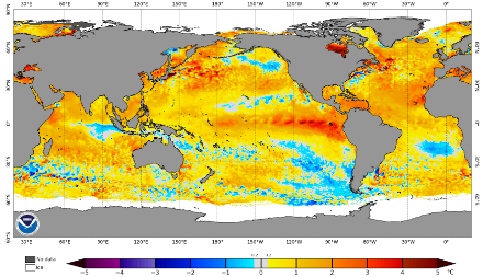 Fig. 5: Anomalia della temperatura delle acque superficiali il 25 ottobre 2023. Il fenomeno El Niño è chiaramente visibile, con anomalie di temperatura fortemente positive. Una piccola area blu è visibile al largo di Acapulco. Si tratta di un fenomeno di upwelling (risalita di acqua più fredda) generato dal passaggio dell'uragano OTIS. Un'altra piccola area blu è visibile al largo della Baja California, traccia del passaggio dell'uragano Norma una settimana fa. Fonte: NOAA. 