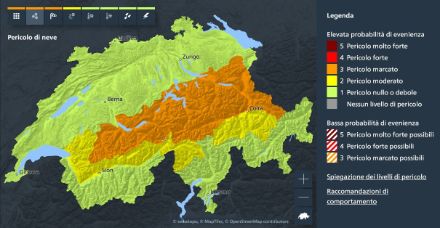 Allerte neve