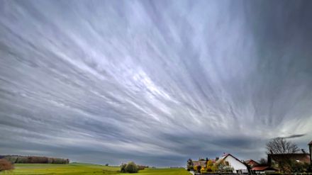 Nube fotografata dal Gros-de-Vaud il 20.11.2023 alle ore 16.20 circa. Foto di Jean-Claude Geinoz. 