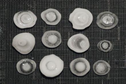 Fig. 8a. 3, 4, 5, 6 anelli di accrescimento visibili nei chicchi di grandine. Dall'impatto devastante, dal punto di vista scientifico estremamente interessanti. Foto: S. Trefalt.