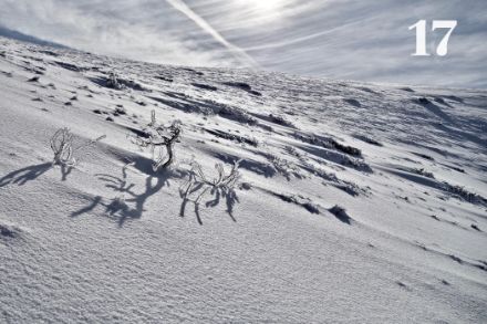 Neve fresca e vetrone nella Valle di Louron (Alti Pirenei). Foto: Élie Kirchner