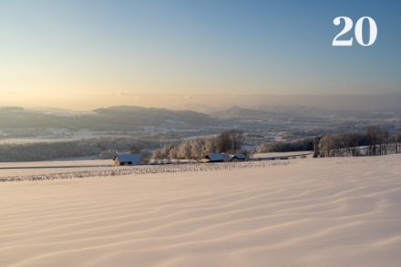 Paesaggio invernale vicino a Bellikon. Foto: P. Stierli